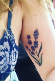 植物纹身 女生大臂上彩色的植物纹身图片