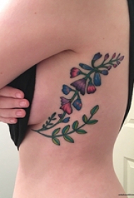 侧腰纹身图 女生侧腰上彩色的植物纹身图片