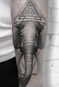 百乐动物纹身 男生手臂上三角形和大象纹身图片