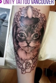 小清新猫咪纹身 女生手臂上猫纹身图案