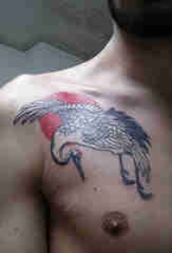 仙鹤纹身 男生肩部彩色的白鹤纹身图片