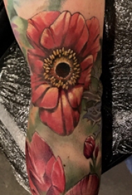 花朵纹身 男生手臂上彩色花朵纹身图片