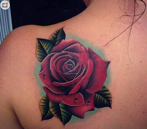 点击大图看下一张：射手座玫瑰背部纹身
