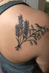 后背纹身女 女生后背上黑色的植物纹身图片