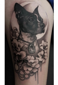 双大臂纹身 男生大臂上花朵和小狗纹身图片