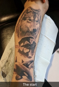 百乐动物纹身 男生手臂上狼头和鲸鱼纹身图片