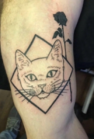 小猫咪纹身 男生手臂上小猫咪纹身图片