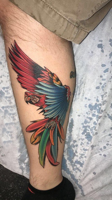 点击大图看下一张：欧美小腿纹身 男生小腿上彩色的鹦鹉纹身图片