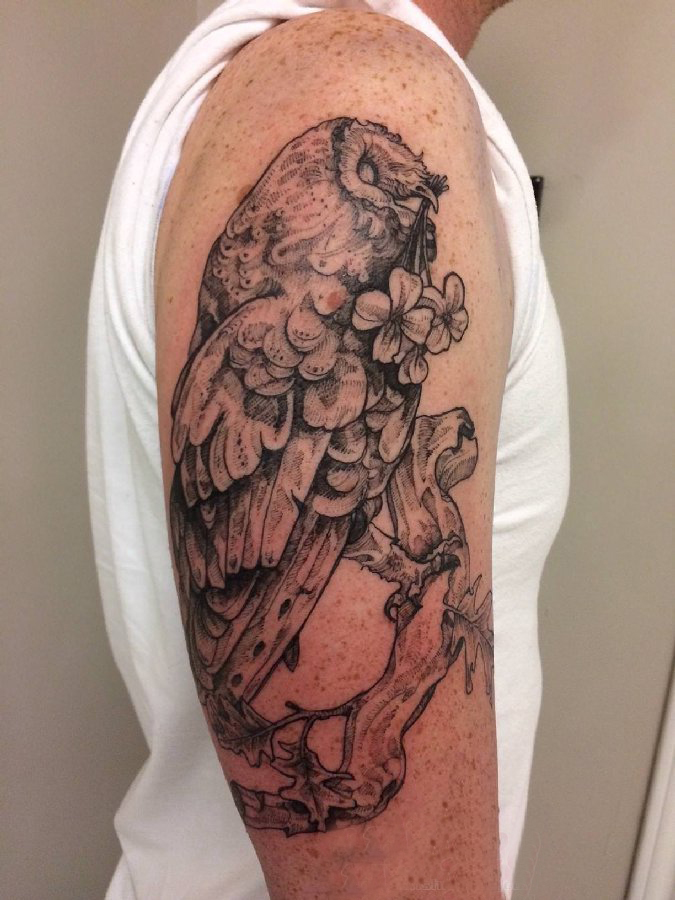 点击大图看下一张：双大臂纹身 男生大臂上花朵和猫头鹰纹身图片