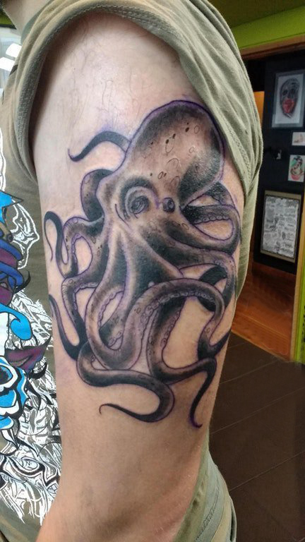 点击大图看下一张：小动物纹身 男生大臂上黑色的章鱼纹身图片