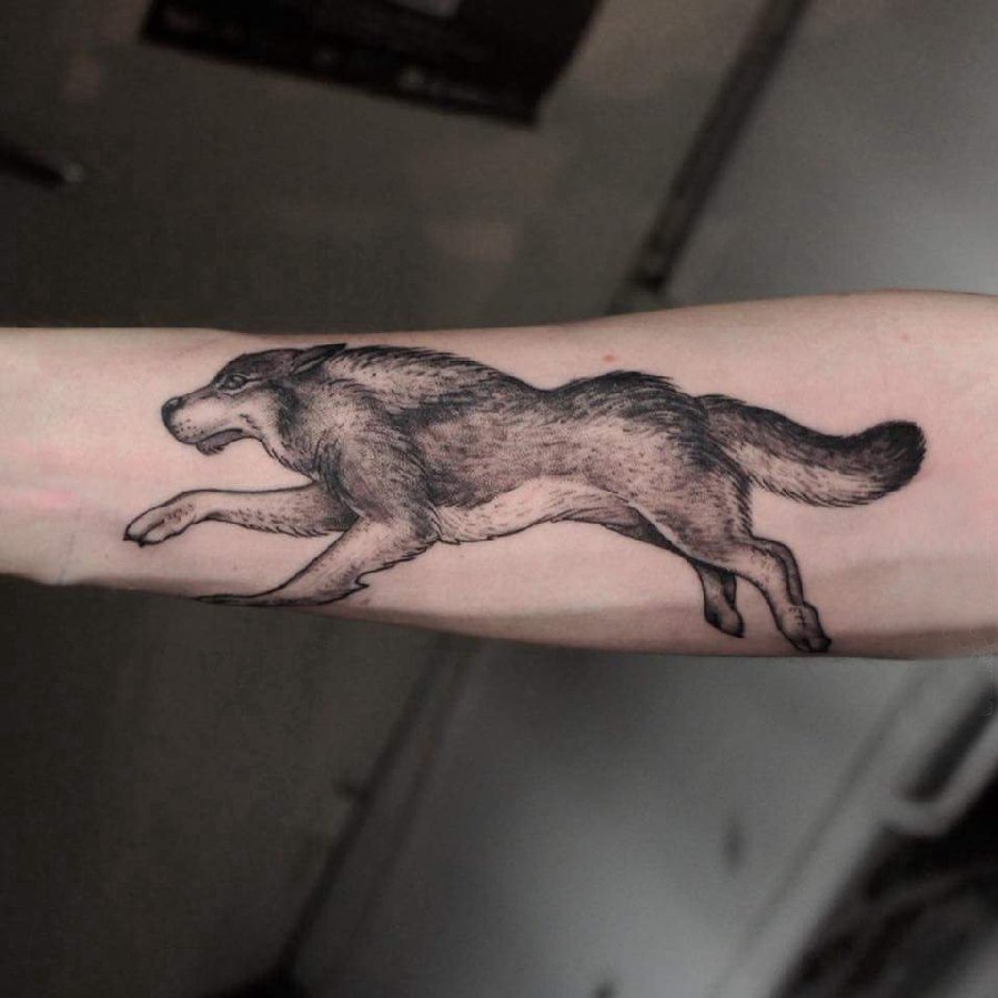 点击大图看下一张：小动物纹身 男生手臂上黑色奔跑的狼纹身图片