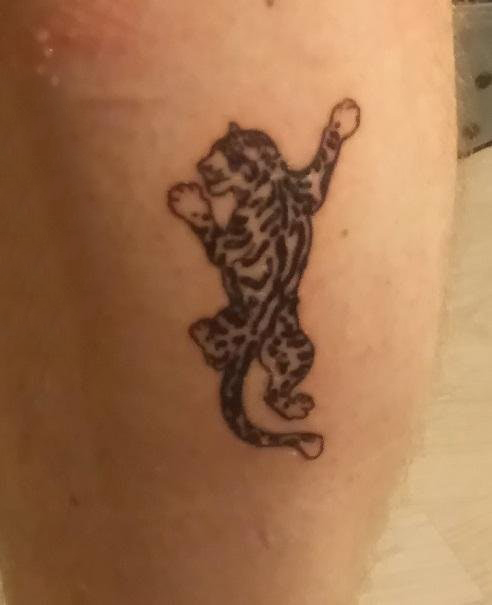 点击大图看下一张：小动物纹身 男生小腿上黑色的老虎纹身图片