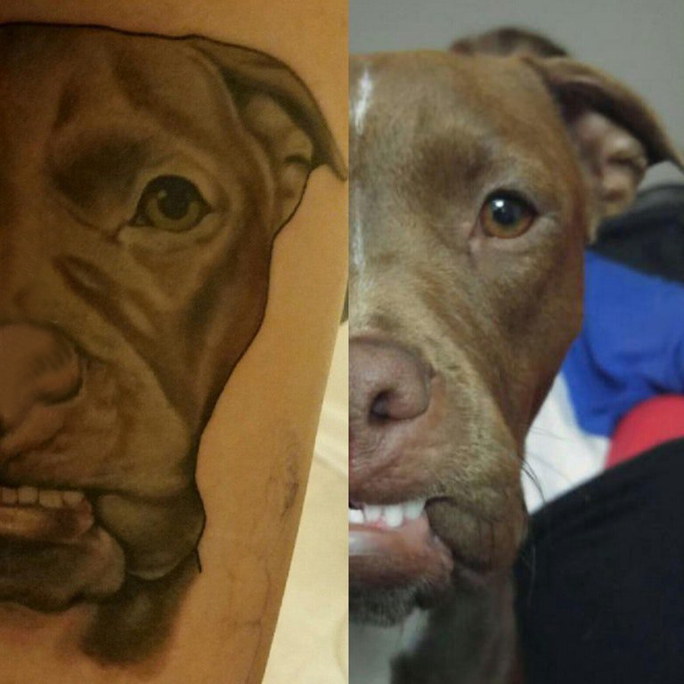 点击大图看下一张：小狗纹身图案 男生小腿上黑色的小狗纹身图片