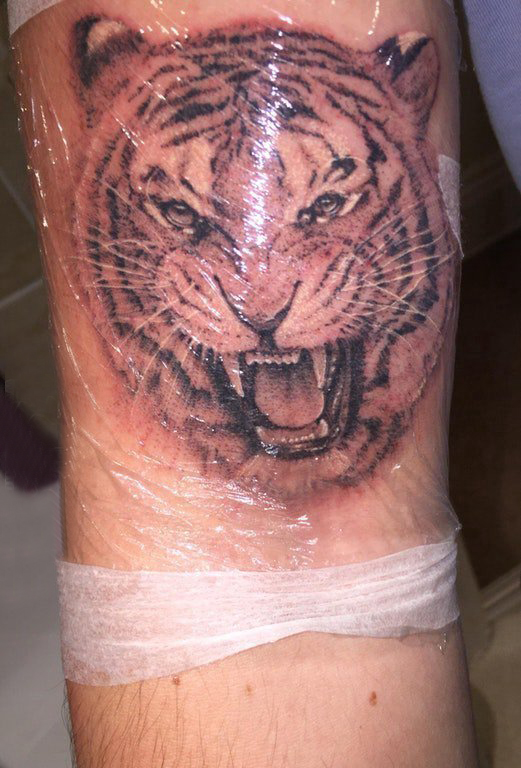 点击大图看下一张：老虎头纹身图案 男生手臂上老虎头纹身图片