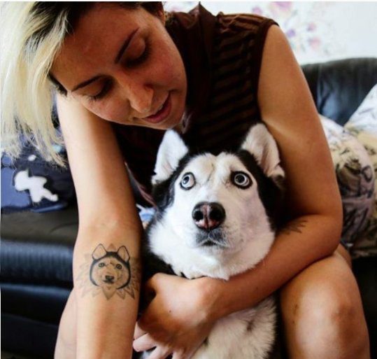点击大图看下一张：宠物狗纹身 女生手臂上黑色的小狗纹身图片