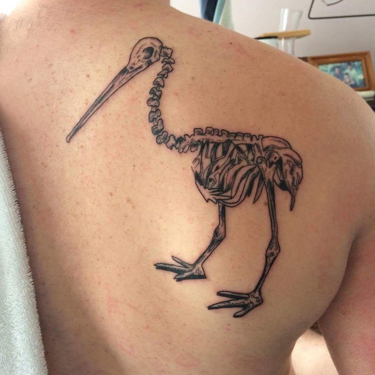 点击大图看下一张：骨头纹身 男生后背上黑色的鸟骨头纹身图片