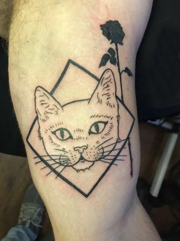 点击大图看下一张：小猫咪纹身 男生手臂上小猫咪纹身图片