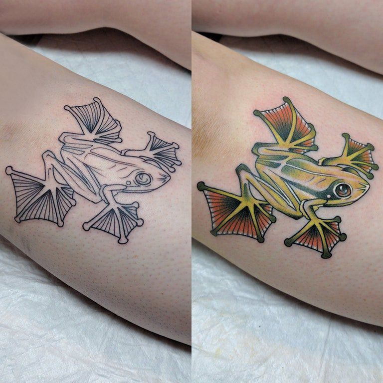 点击大图看下一张：百乐动物纹身 女生小腿上彩色的青蛙纹身图片
