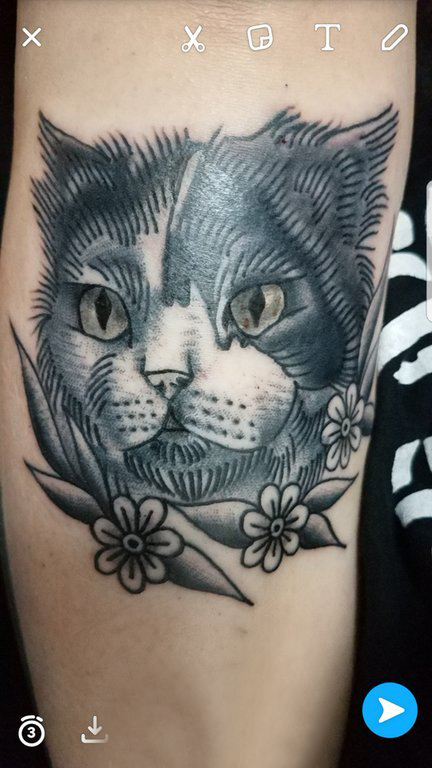 点击大图看下一张：小清新猫咪纹身 男生手臂上小猫咪纹身图片