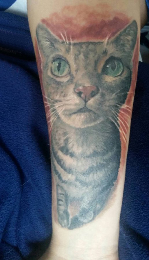 点击大图看下一张：小清新猫咪纹身 女生手臂上猫纹身图片
