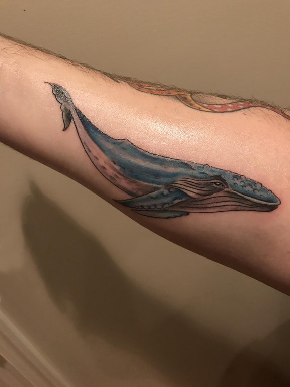 点击大图看下一张：纹身鲸鱼 男生手臂上鲸鱼纹身图片
