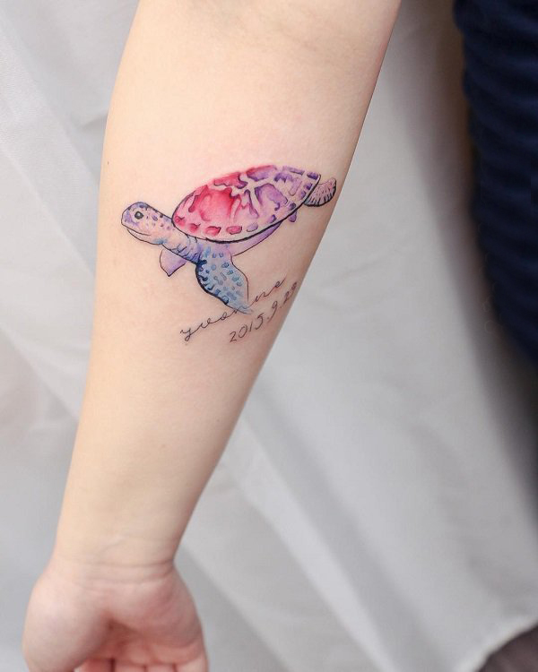 点击大图看下一张：乌龟纹身图案 多款彩色渐变纹身素描乌龟纹身图案