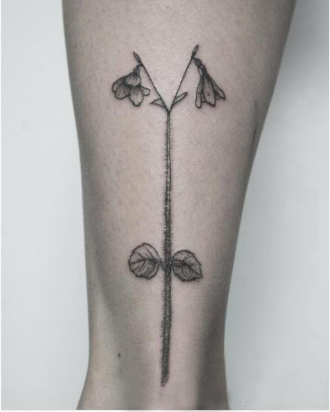 点击大图看下一张：欧美小腿纹身 女生小腿上黑色的植物纹身图片