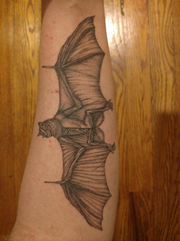点击大图看下一张：手臂纹身图片 男生手臂上黑色的蝙蝠纹身图片