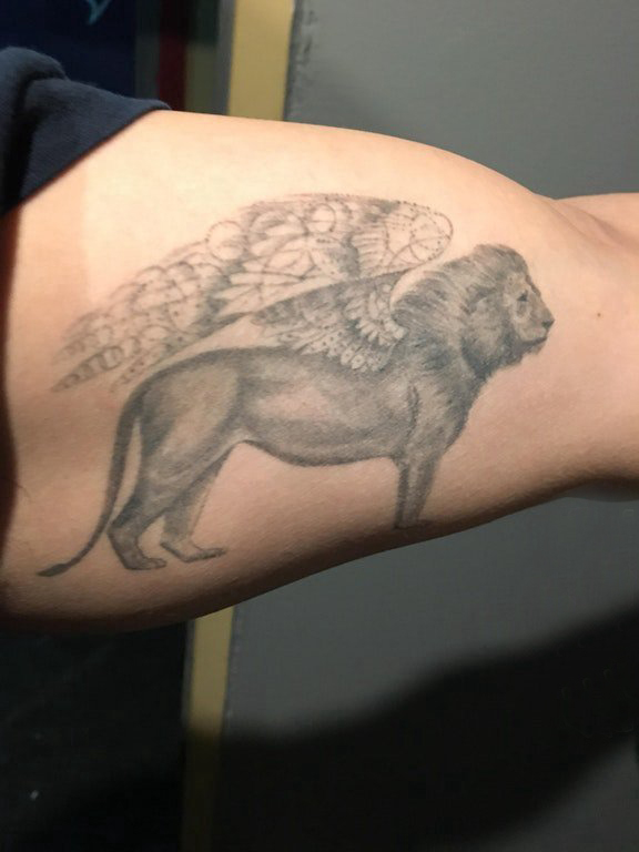 点击大图看下一张：双大臂纹身 男生大臂上霸气的狮子纹身图片