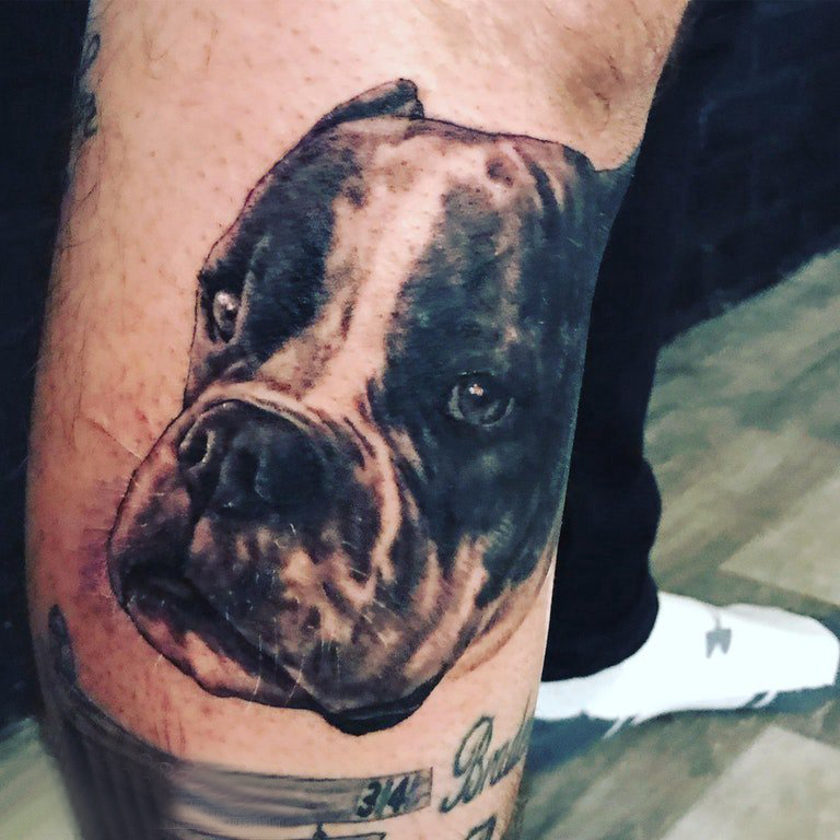 点击大图看下一张：欧美线条纹身 男生小腿上黑色的宠物狗纹身图片
