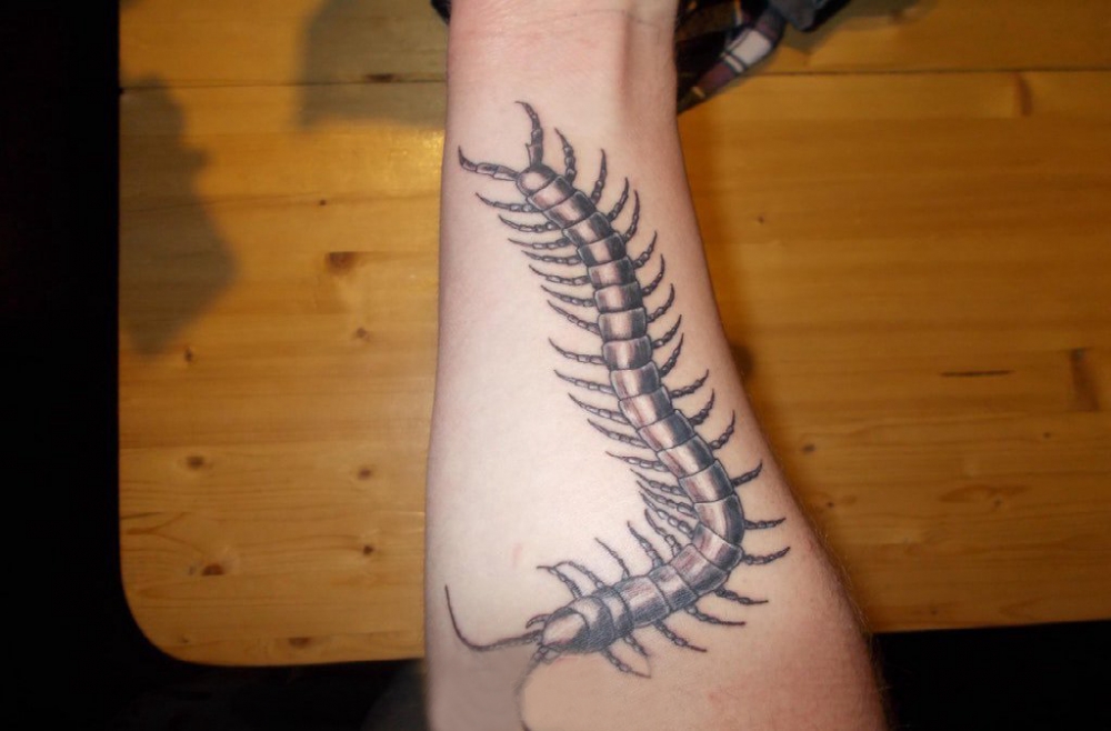 点击大图看下一张：蝎子纹身 男生手臂上蝎子纹身图片