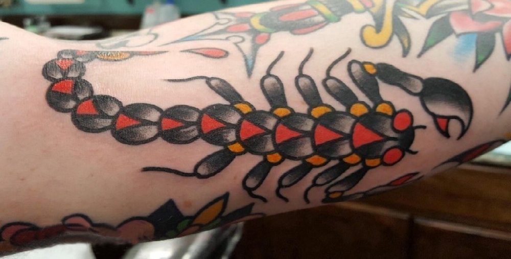 点击大图看下一张：手臂纹身图片 男生手臂上彩色的蝎子纹身图片