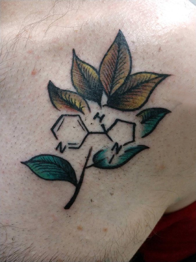 点击大图看下一张：植物纹身 男生手臂上植物纹身图片