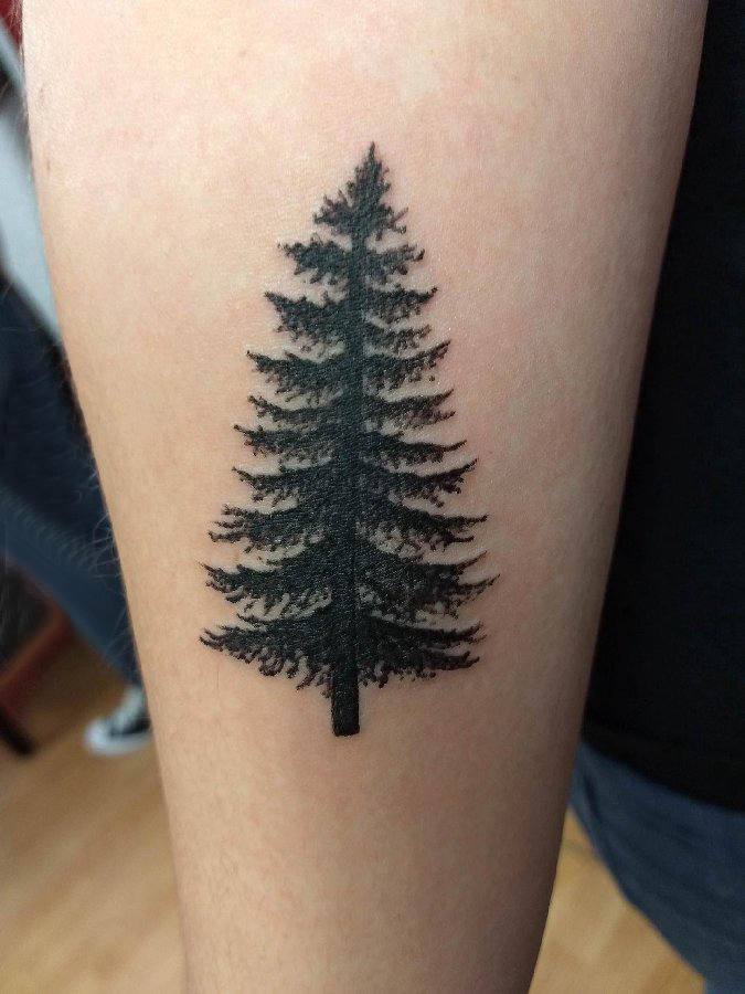 点击大图看下一张：松树纹身  女生大腿上黑色的松树纹身图片
