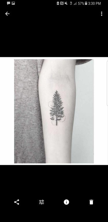 点击大图看下一张：松树纹身  女生手臂上黑色的松树纹身图片