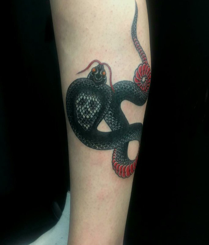 点击大图看下一张：蛇和骷髅纹身图案 女生手臂上蛇和骷髅纹身图片