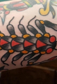 手臂纹身图片 男生手臂上彩色的蝎子纹身图片