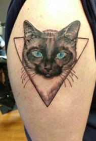 大臂纹身图 男生大臂上三角形和猫咪纹身图片