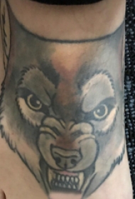 百乐动物纹身 男生脚背上彩绘动物纹身图片