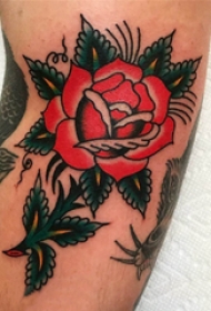 玫瑰纹身图  男生手臂上彩色的玫瑰纹身图片