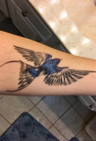 彩绘纹身 男生手臂上彩色的小鸟纹身图片