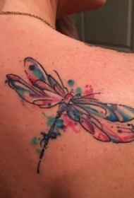 蜻蜓纹身图案 女生背部蜻蜓纹身图案