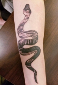 纹身蛇的图案 女生手臂上蛇纹身图片