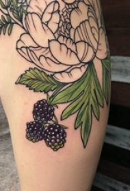 欧美小腿纹身 女生小腿上彩色的植物纹身图片