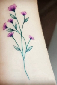 小清新植物纹身 女生手臂上彩绘的花朵纹身图片