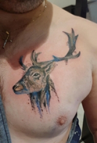 胸部纹身男 男生胸部彩色的麋鹿纹身图片