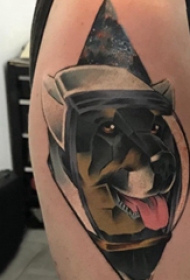 小狗纹身图片 男生手臂上狗纹身图片