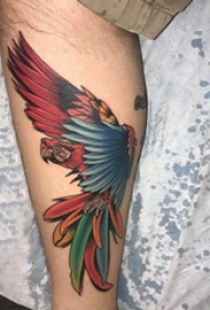 欧美小腿纹身 男生小腿上彩色的鹦鹉纹身图片