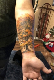 手部树木纹身 男生手臂上彩色的大树纹身图片