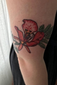 花朵纹身图案  女生手臂上彩色的花朵纹身图片